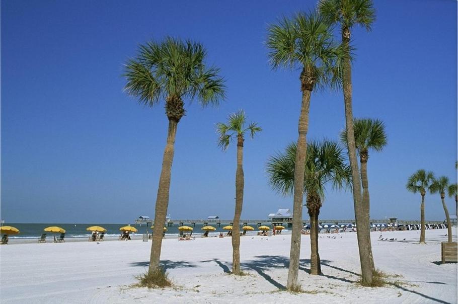 Beautiful Townhouse Easy Access To Everything. Clearwater Exterior photo